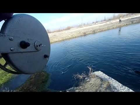 ვარიანი კალმახი ტივტივით 2