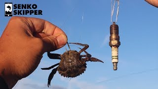 The Junkyard Fishing Rig saves you money & catches fish!