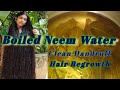 Boiled neem water for hair care