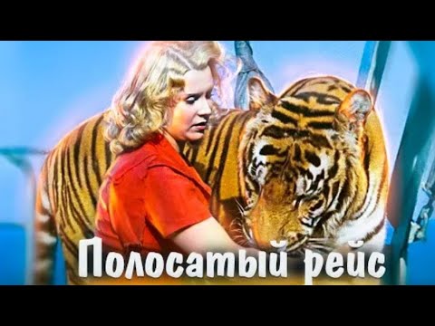 Кадр из фильма «Полосатый рейс»