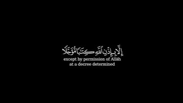 كروما شاشة سوداء بصوت الشيخ #ياسر_الدوسري |#سورة_آل_عمران | كرومات قرآن كريم