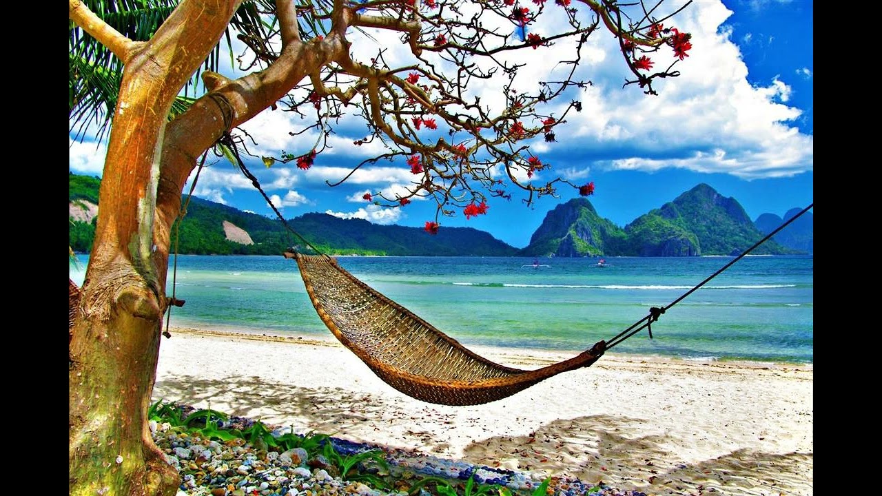 WITHOUT YOU, I CAN'T FEEL WIN Remember brain ENJOY DREAM I Lose My noise Happiness requires struggle