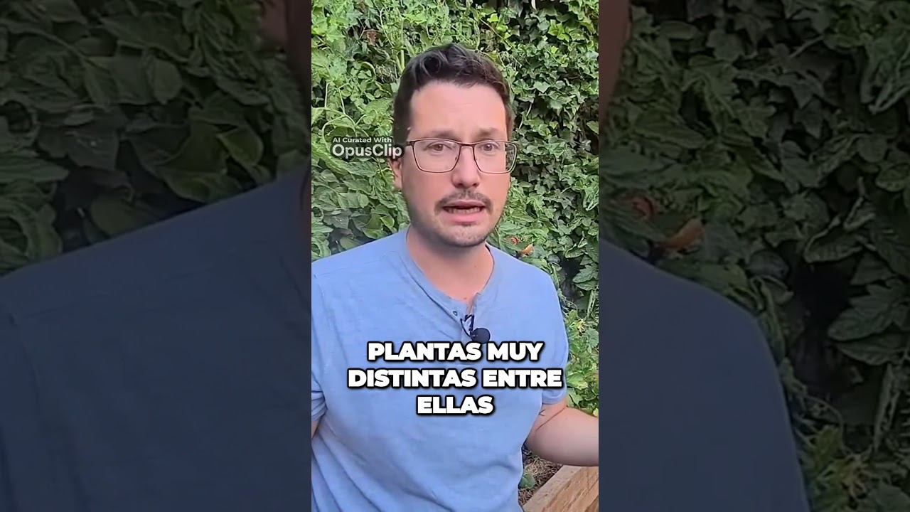 La trampa detrás de las semillas híbridas 