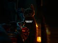 Why Your Cat Hisses at You After Wearing New Perfume | The Scent Confusion Explained
