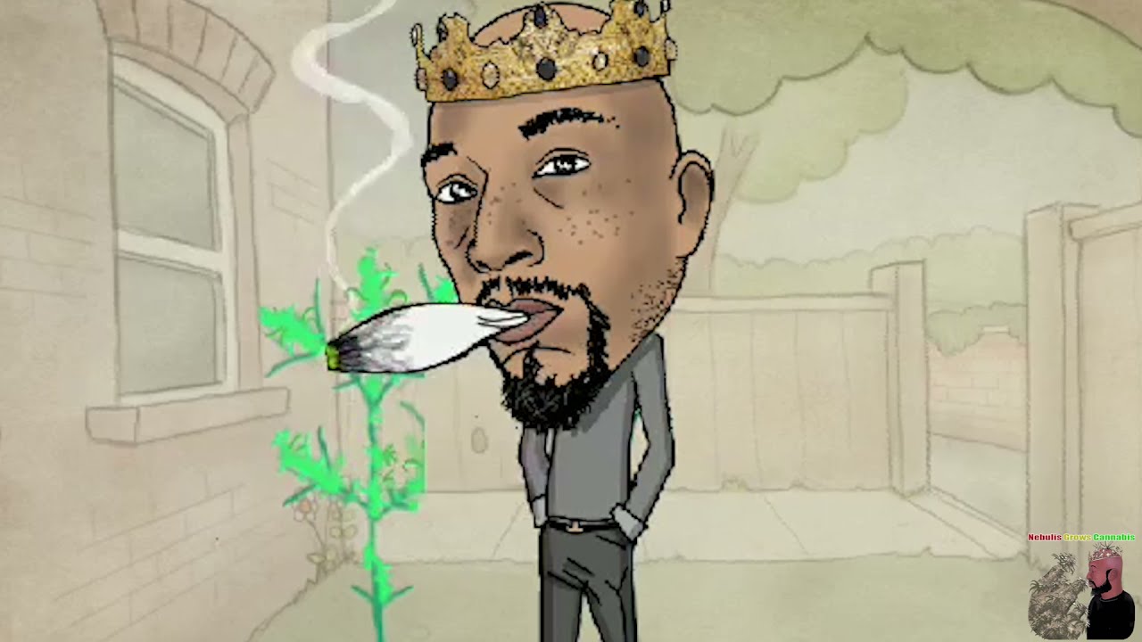 Growing weed Indoors 2021: Week 4 of Flower 