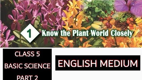 KERALA Syllabus CLASS 5 BASIC SCIENCE/UNIT 1/PART 2