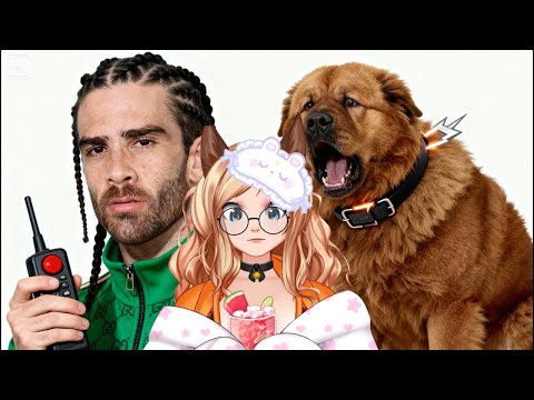 Реакция  Ударь током Мою Собаку, Я Не могу остановиться [ Shock My Dog I Can't Stop ]