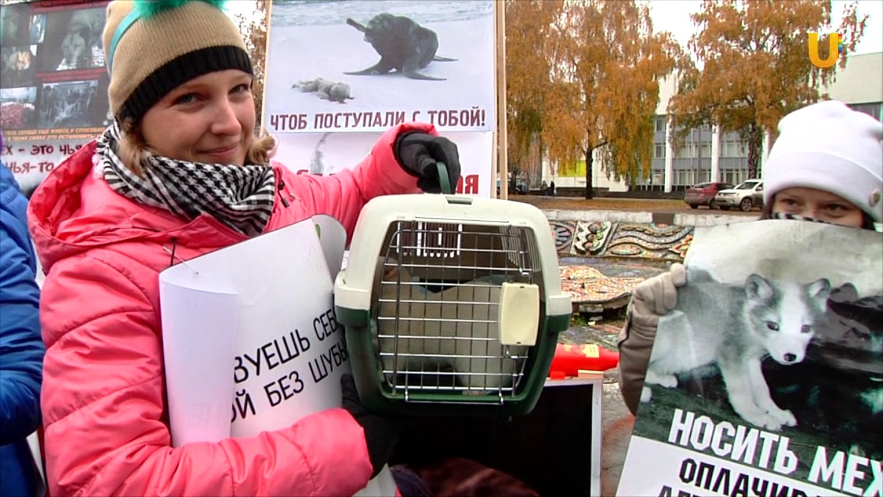 Чем отличаются вегетарианцы, веганы и сыроеды и почему люди решают поменять систему питания