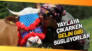 Gümüşhanede Yayla Göçü Başladı