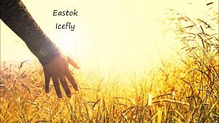 Eastok - Icefly [Emergent Shores]