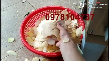 Máy thái lát gừng, bào lát gừng, máy cắt lát gừng làm mứt tự động SH-100