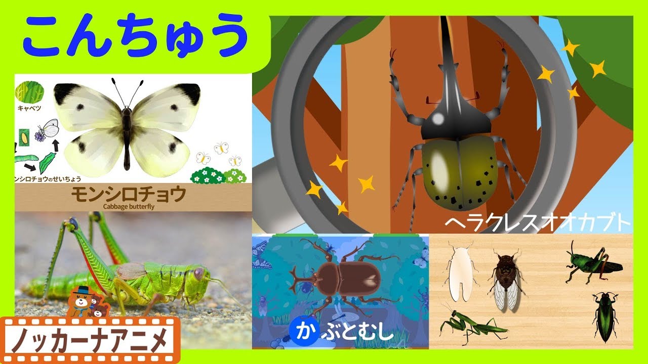 16分連続 昆虫 キッズアニメ ４ カブトムシ クワガタムシ カマキリ 子供向けアニメ Insects Animation For Kids Youtube