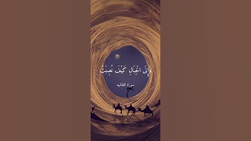 سورة الغاشية (أفلا ينظرون إلى الإبل كيف خلقت)