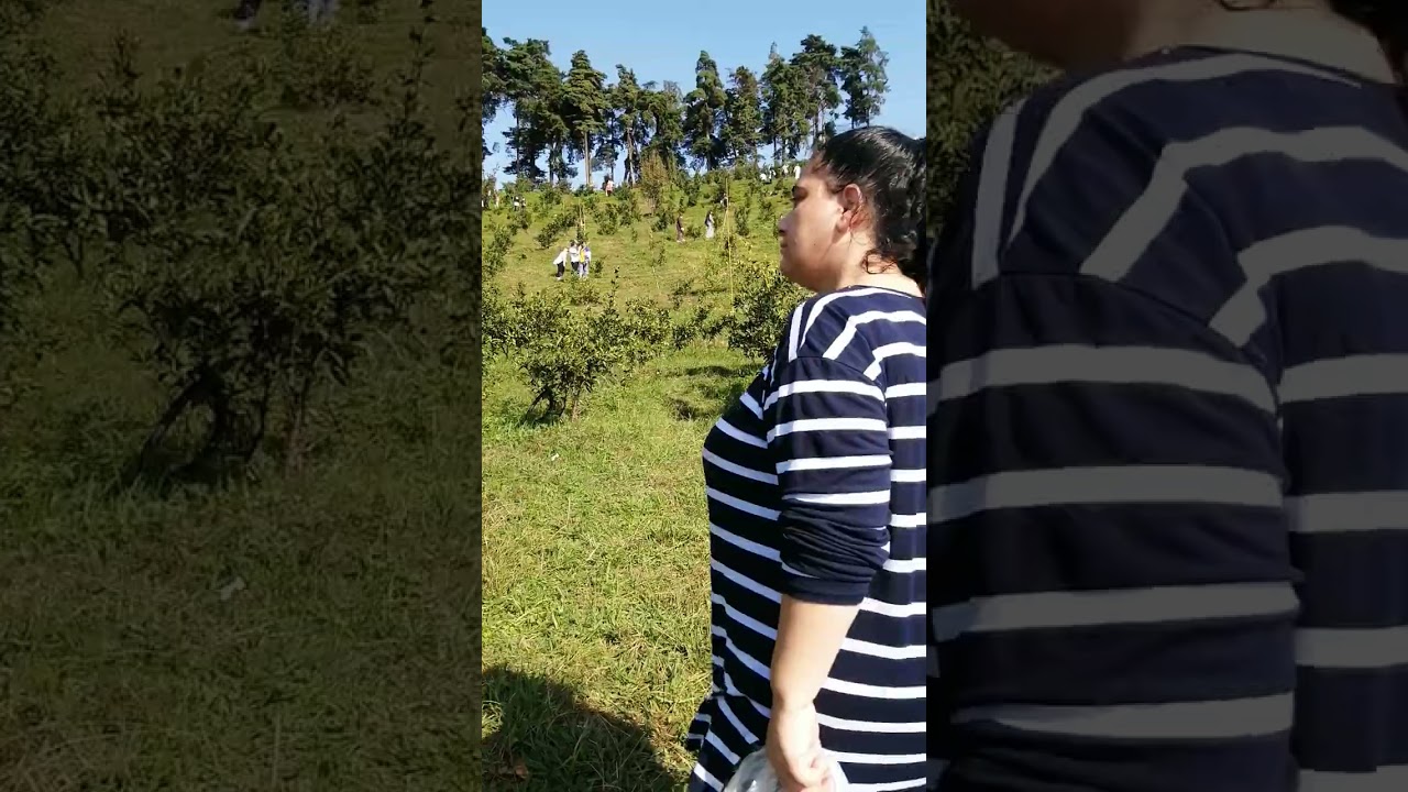 @Mandalin bağı (@Astarada)