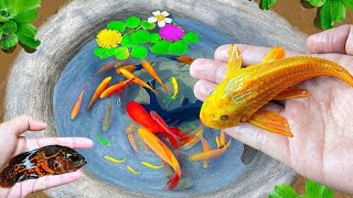 Most Amazing Catching Colorful Surprise Eggs, Turtle, Koi Fish, Butterflyfish, Goldfish in Tiny Lake