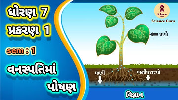 Vanaspatima poshan || std 7 science ch 1 || વનસ્પતિમાં પોષણ || ધોરણ 7 વિજ્ઞાન પાઠ 1 ||