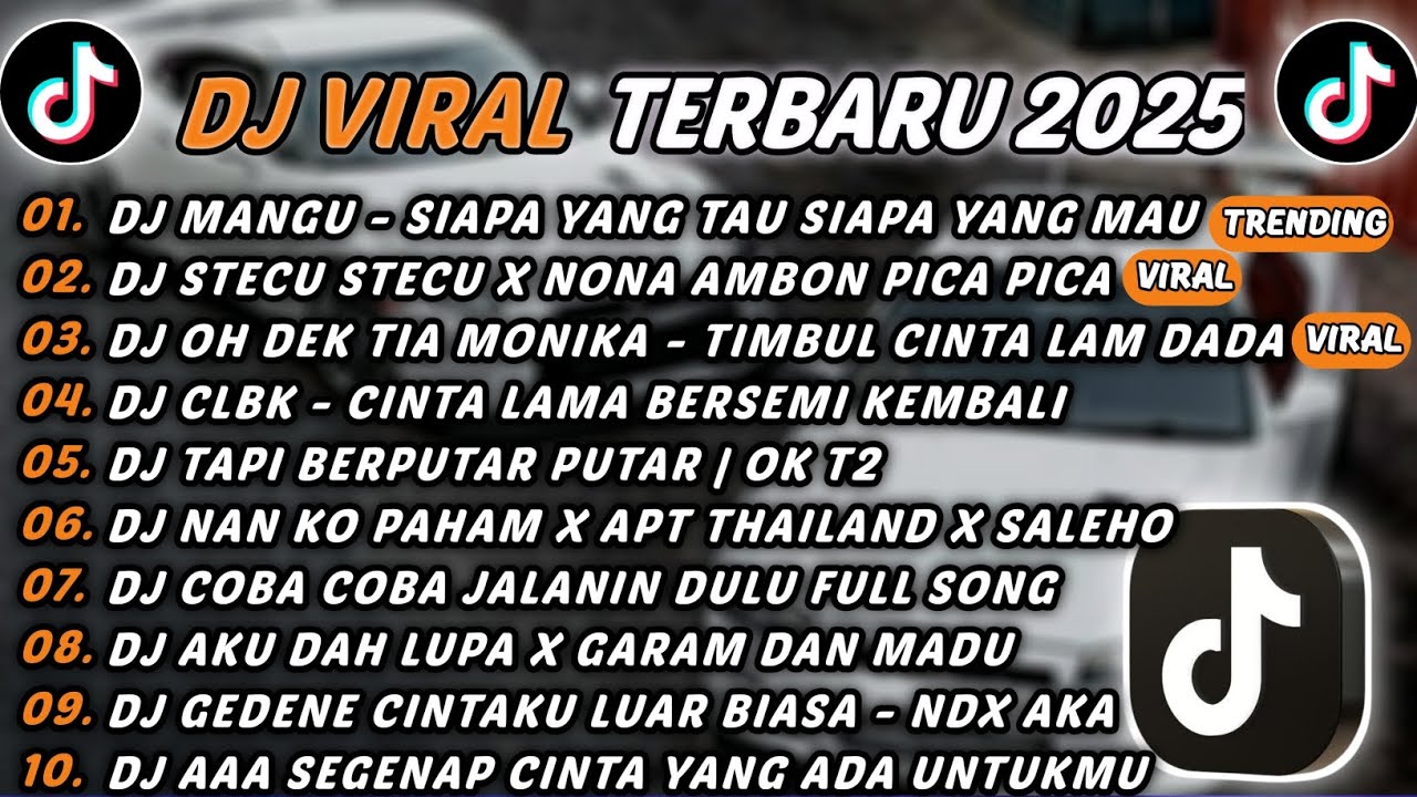 DJ TIKTOK TERBARU 2025 - DJ MANGU - SIAPA YANG TAU SIAPA YANG MAU🎵DJ STECU STECU X PICA PICA🎵FULL