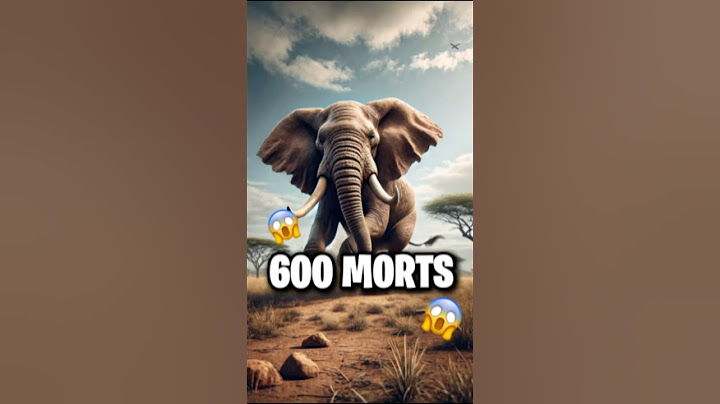 TOP 20 DES ANIMAUX LES PLUS MORTELS