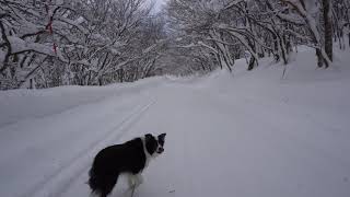 20201221 daisen 2