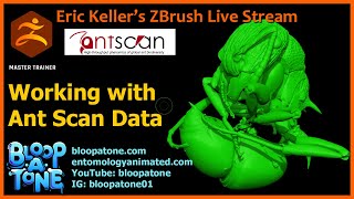 Insect And Arachnid Inspired Sculpting: Antscan Part 5