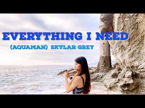 Skylar Grey - Everything I Need (Aquaman) Flute Cover by June Yuan