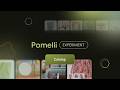 Pomelli Catalog: Grounded in your brand and the products and services you sell