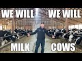 We will milk cows we will rock you parody