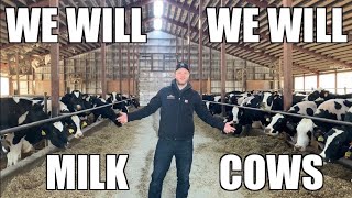 We Will Milk Cows We Will Rock You Parody