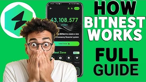 HOW BITNEST WORKS - A Step By Step Guide | Don