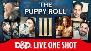 Puppy Roll III Live | Dungeons & Dragons