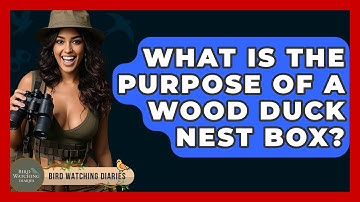What Is The Purpose Of A Wood Duck Nest Box? - Bird Watching Diaries