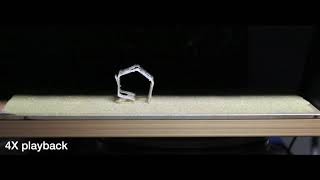 2019 Untethered soft robotic matter with passive control of shape morphing and propulsion 4 screenshot 2