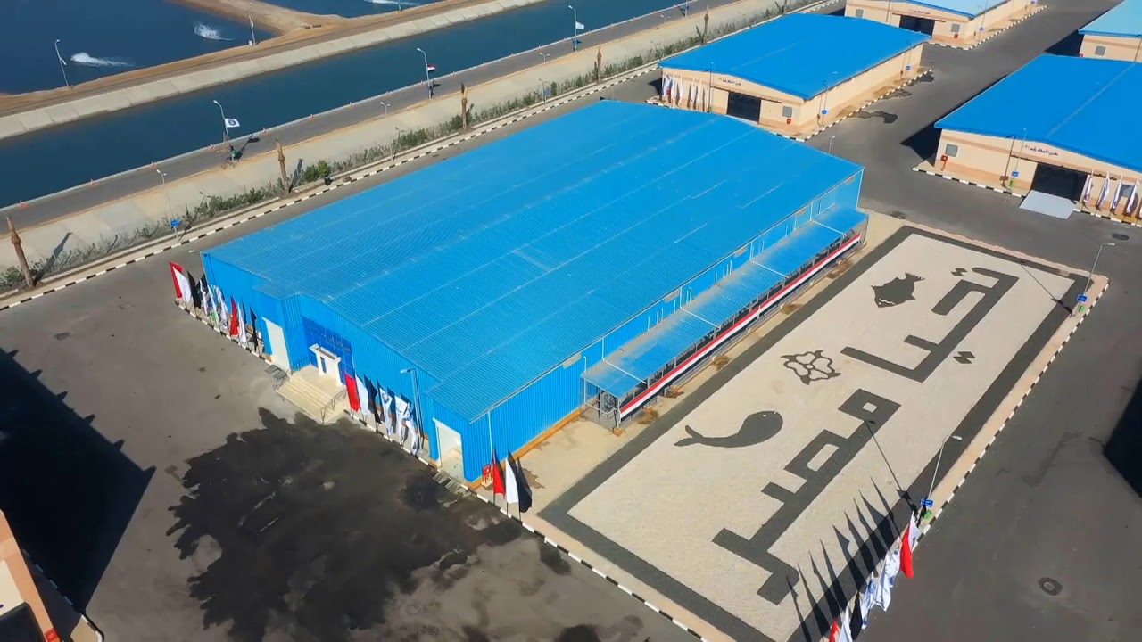 مشروع الفيروز