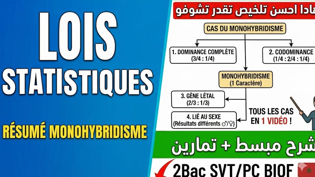 Monohybridisme: هادا أحسن تلخيص تقدر تشوفو!