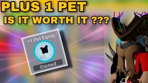 PLUS 1 PET GAMEPASS IS IT WORTH IT ? SABER SIMULATOR (ROBLOX) !!!