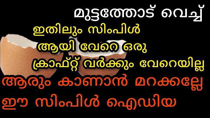 മുട്ടത്തോട് കൊണ്ട് ആരും ചെയ്യാത്ത ഒരു ഐഡിയ
