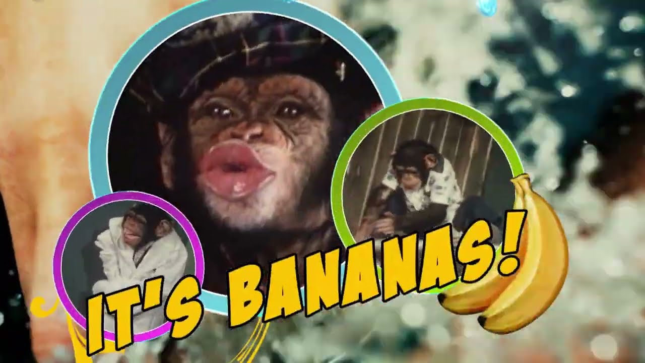 OK Hal, you Naughty Chimp!