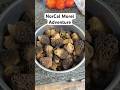 Quick Morel Trip 