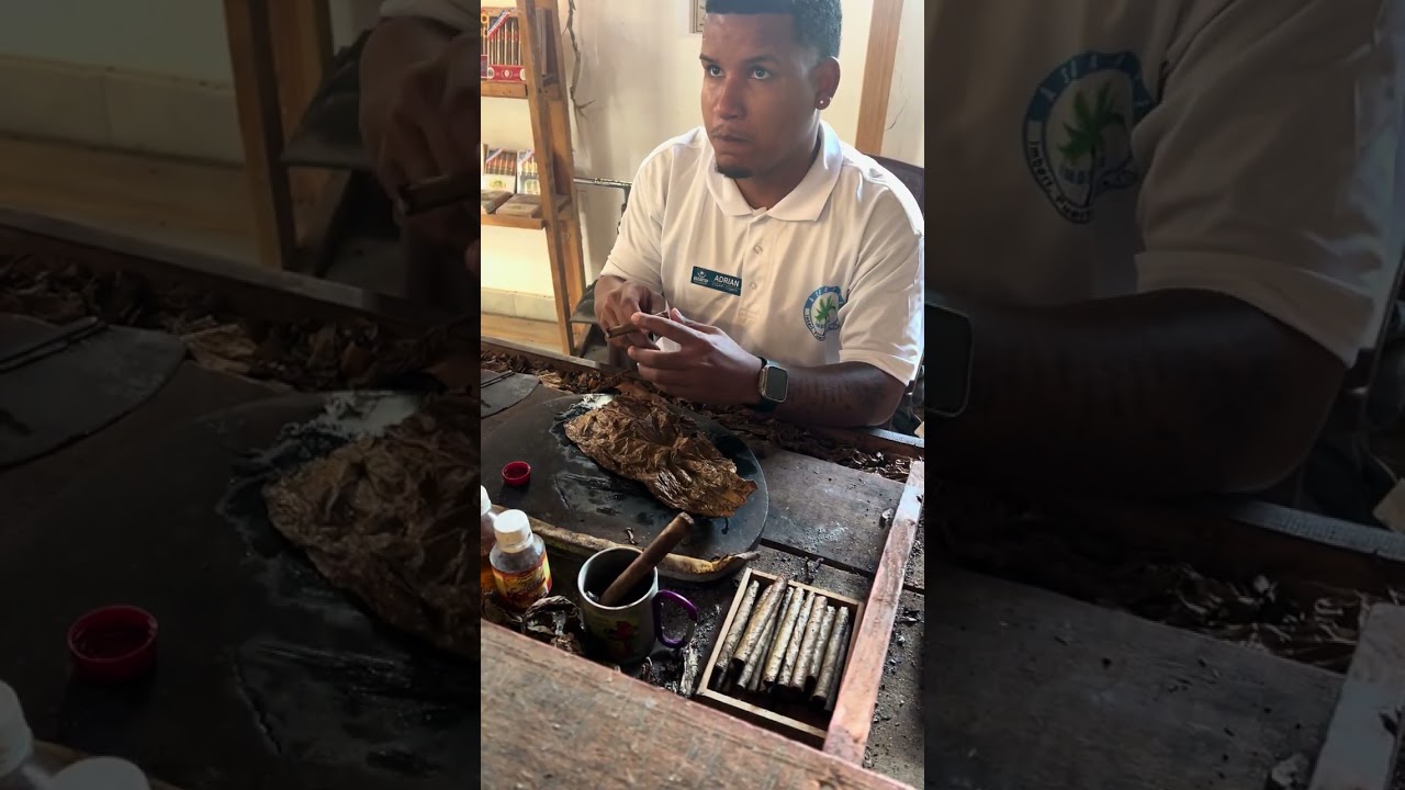 Local Dominican Artisan Making Cigars