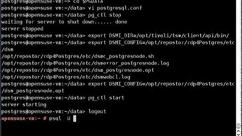 rdp4PostgreSQL-Backup.avi