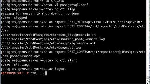 rdp4PostgreSQL-Backup.avi