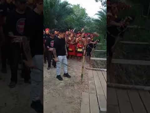 Mandau Dayak Traditional Blades From Borneo Indonesia Panglimajilahdayak