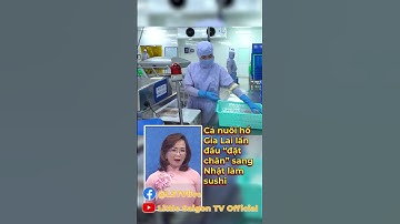 Triệt phá đường dây cá độ bóng đá ngàn tỉ: 44 ɴɢườɪ ʙị ᴋʜởɪ ᴛố, ᴋẻ ᴄầᴍ đầᴜ 𝟹𝟶 ᴛᴜổɪ