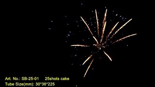 SB-25-01