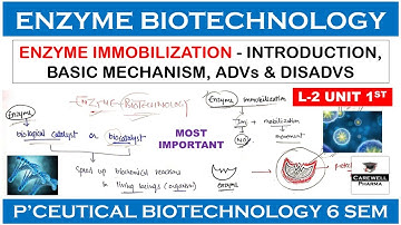 Enzyme Biotechnology || Enzyme Immobilization || L-2 U-1 || Pharmaceutical Biotechnology 6th sem