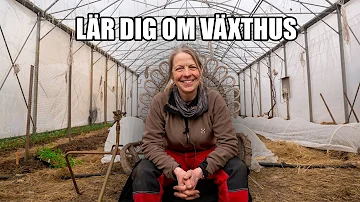 Hur mycket solljus behövs i ett växthus?