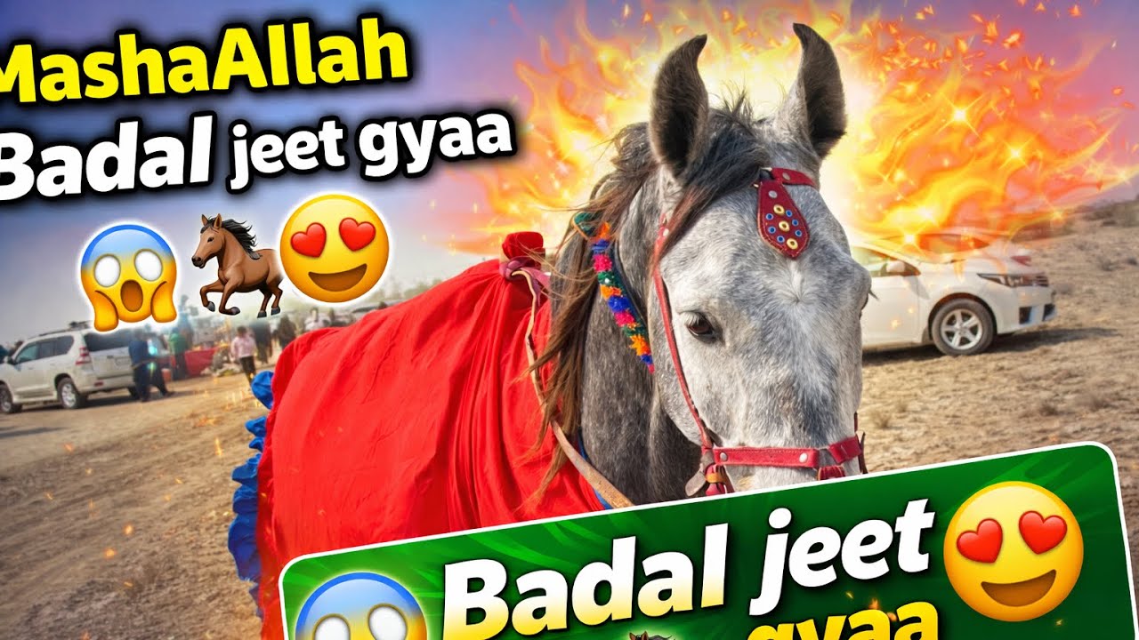 MashaAllah Badal Jeet Gyaa 😱🐎 | Ghory Mela Race | Full Vlog
