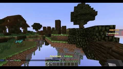 Mineplex Hacker Report #1