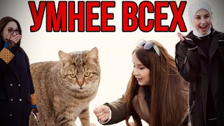 УМНЕЕ ВСЕХ ( рубрика )