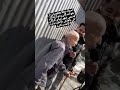استاد عطاءالله یعقوبیان نوازنده و خواننده پیشکسوت و قدیمی شهر گرگان بطور اتفاقی گرگان استاد عطاءالله یعقوبیان نوازنده و خواننده پیشکسوت و قدیمی شهر گرگان بطور اتفاقی گرگان